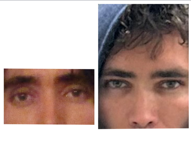 1698303816455.png