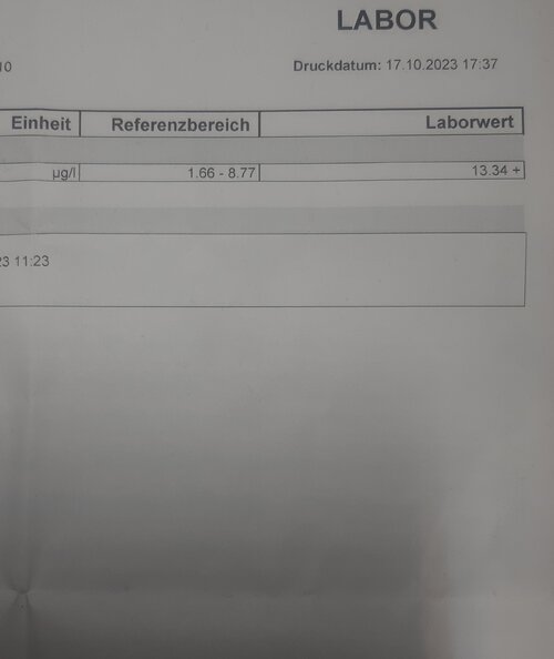 20231026_185531.jpg