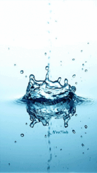 472ca906675e3323102b46548b77ff4d_w200.gif