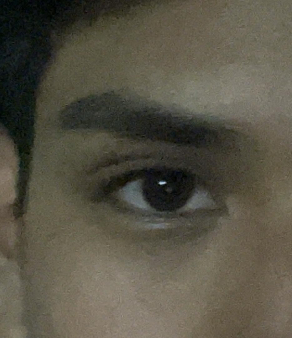 IMG 2684