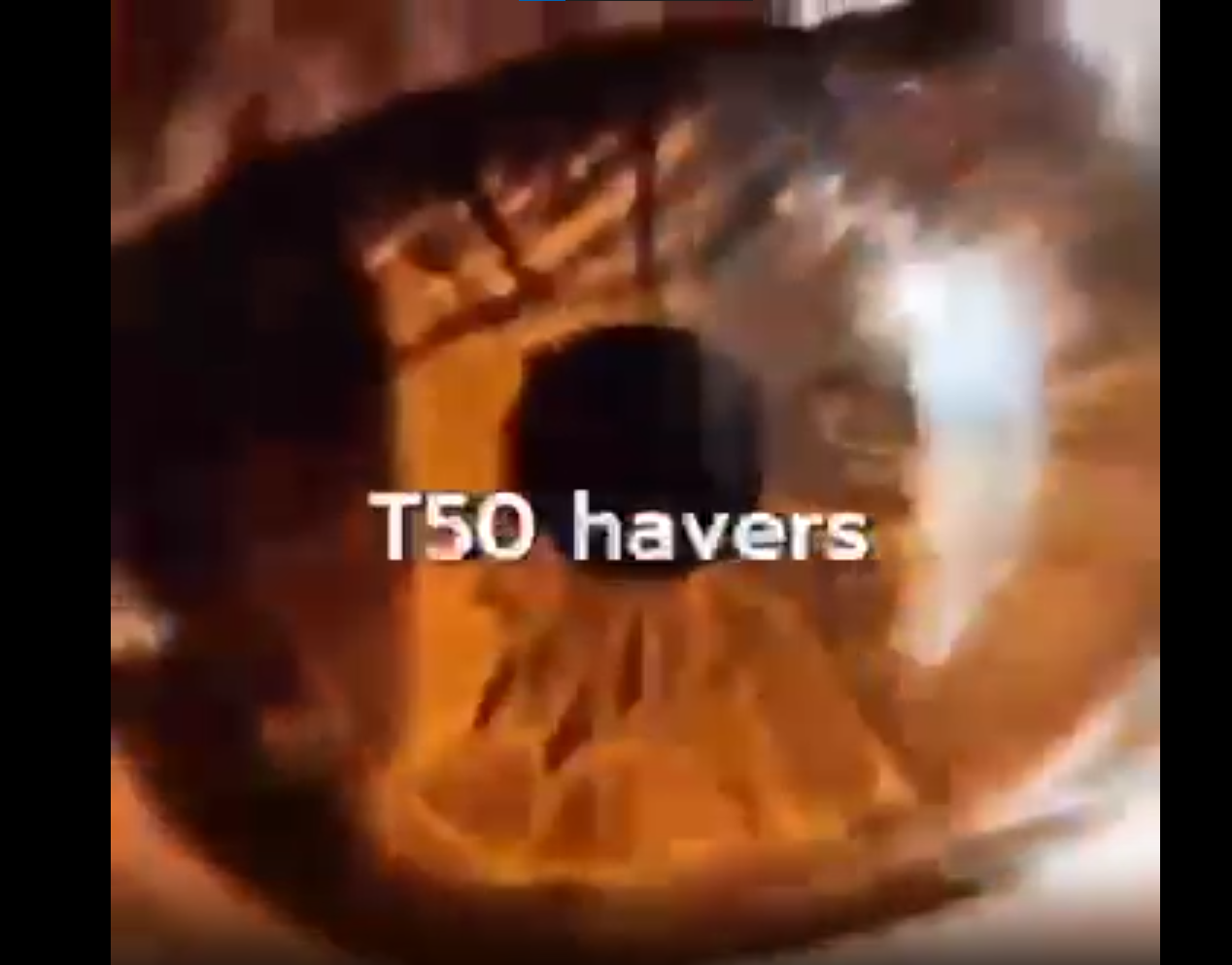 1698853439208