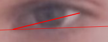 1698876904571