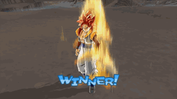 Winner