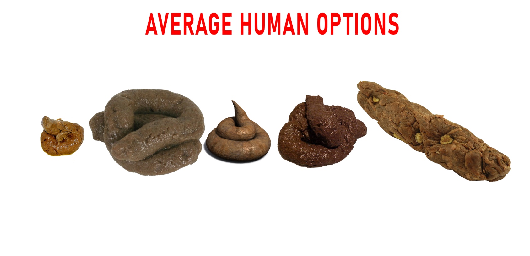 1699007145317
