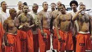 Why prisoners join gangs
