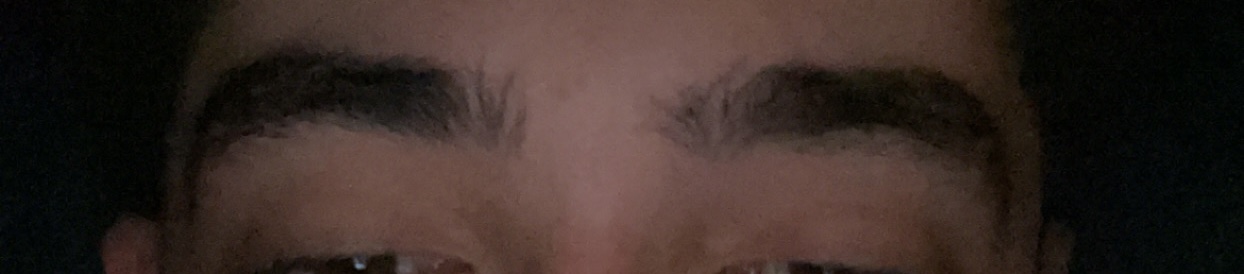 IMG 2571
