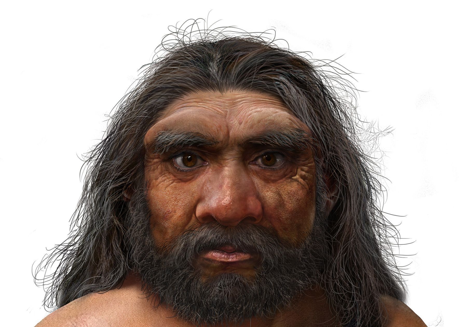 New homo 1800x1260