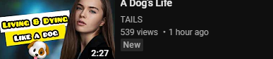1699151249580