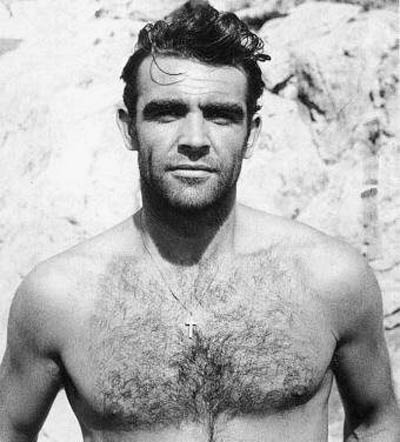 0c7fa098636ff3a0b7c4757a9a200c30  sean connery men hair