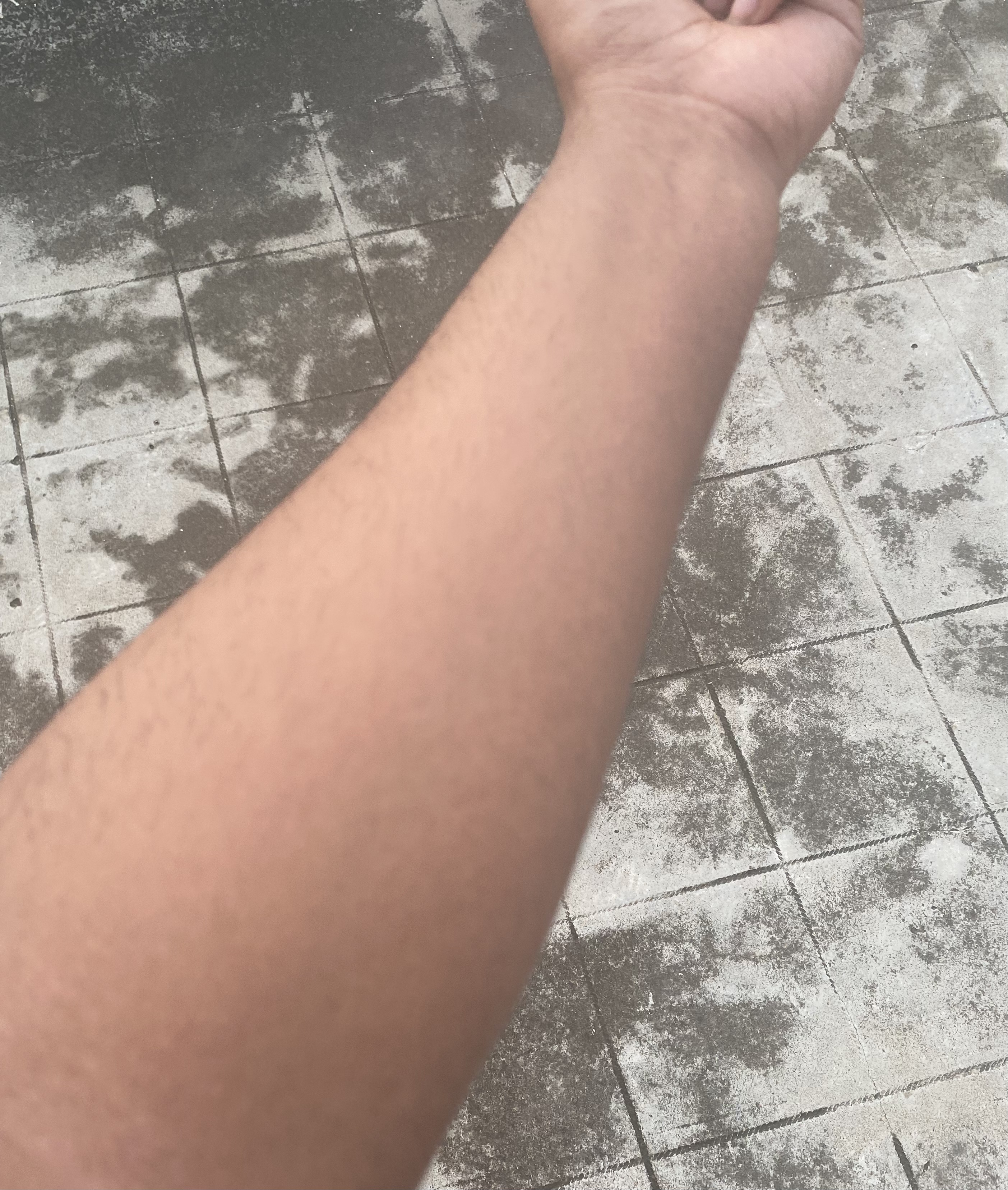 27161908 E3C3 4FBC BBB7 023DC94FB6E7