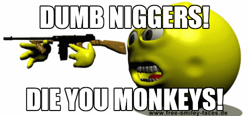 Dumb niggers