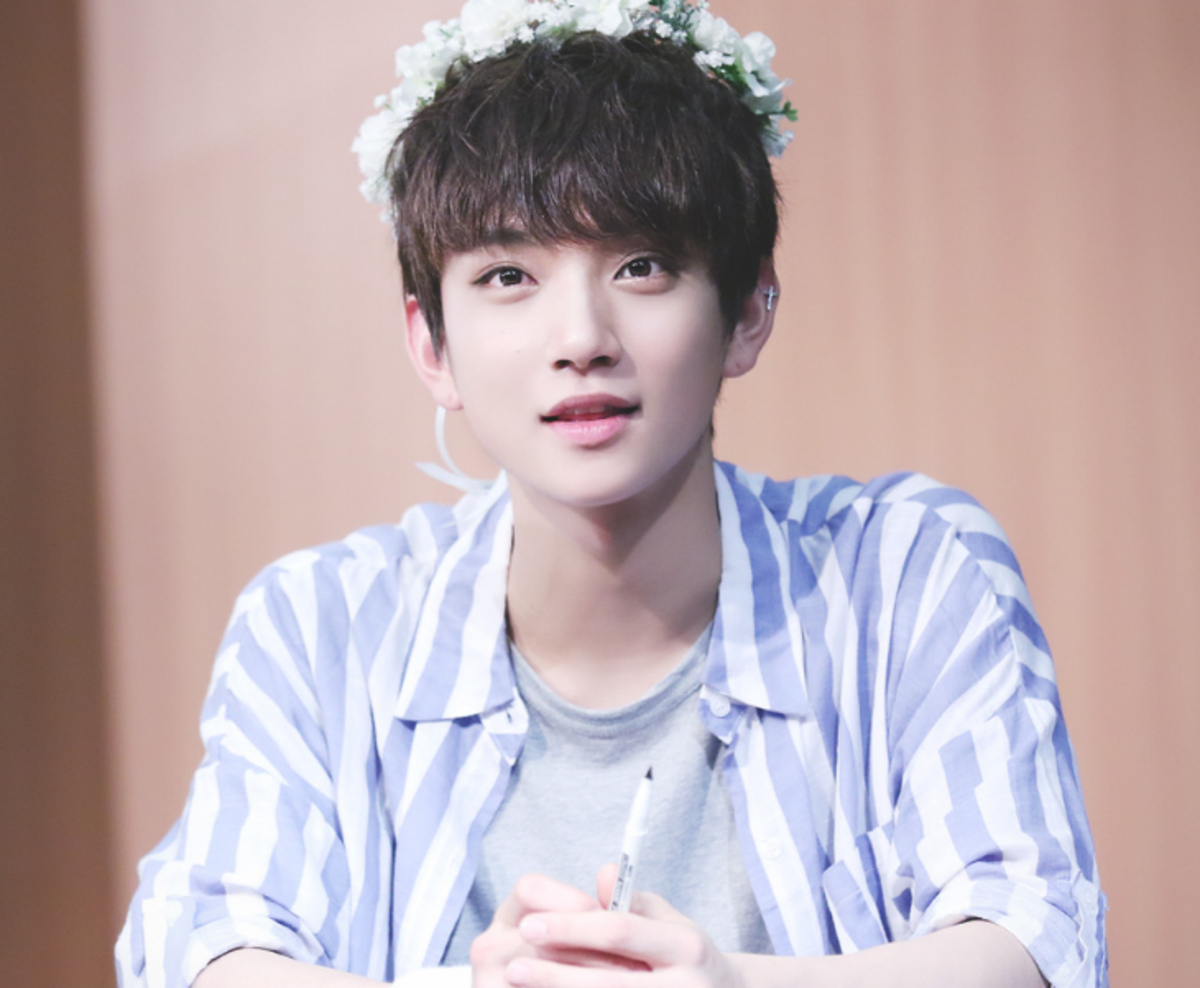 Top 10 prettiest and most beautiful male idols of k pop