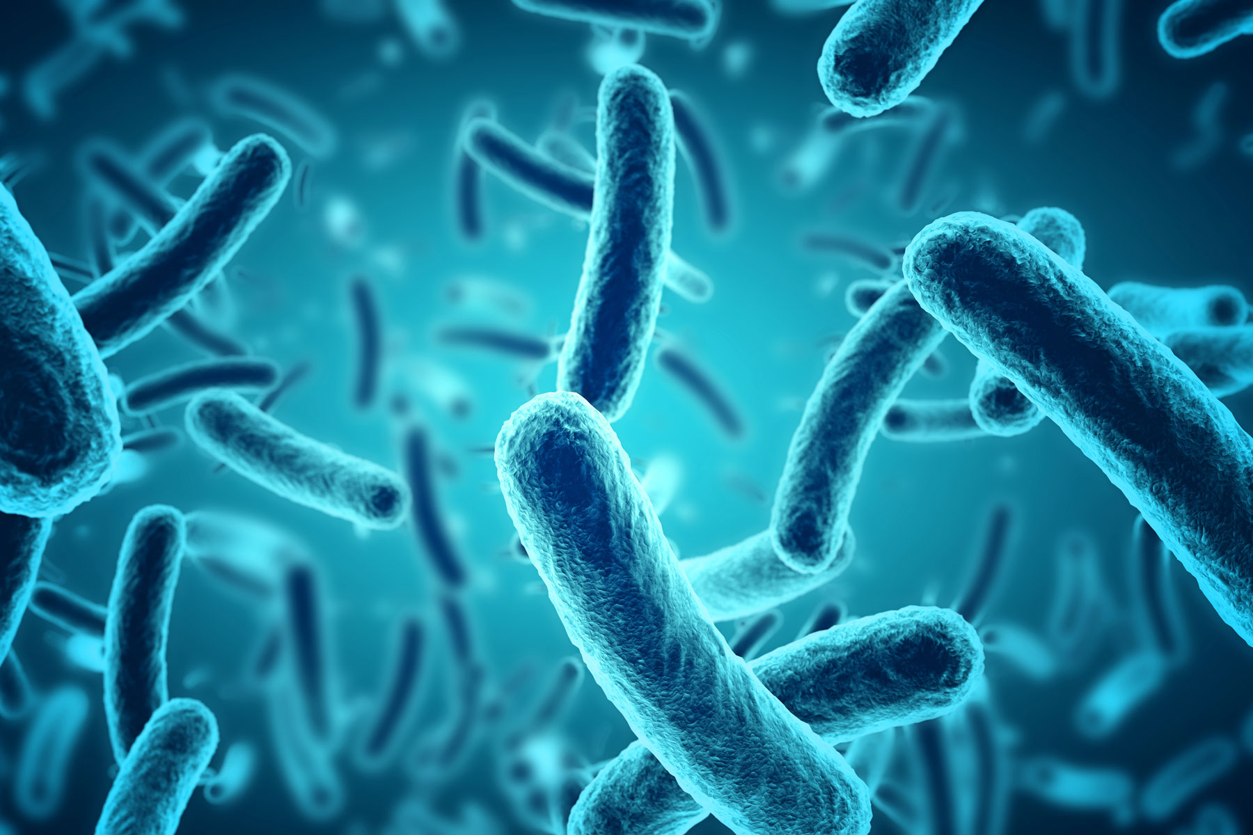 HarmfulBacteria web