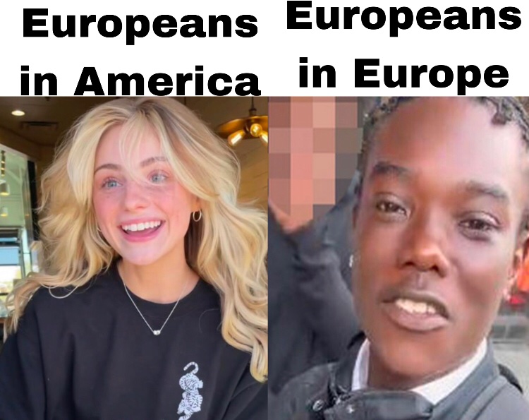 EuropeansInAmericaVsEurope