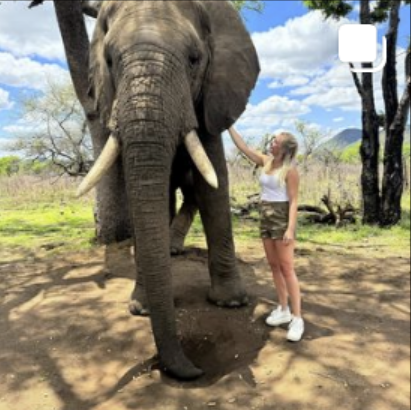 Screenshot 193
