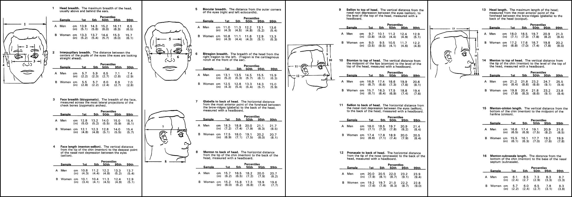 HeadAnthropometry