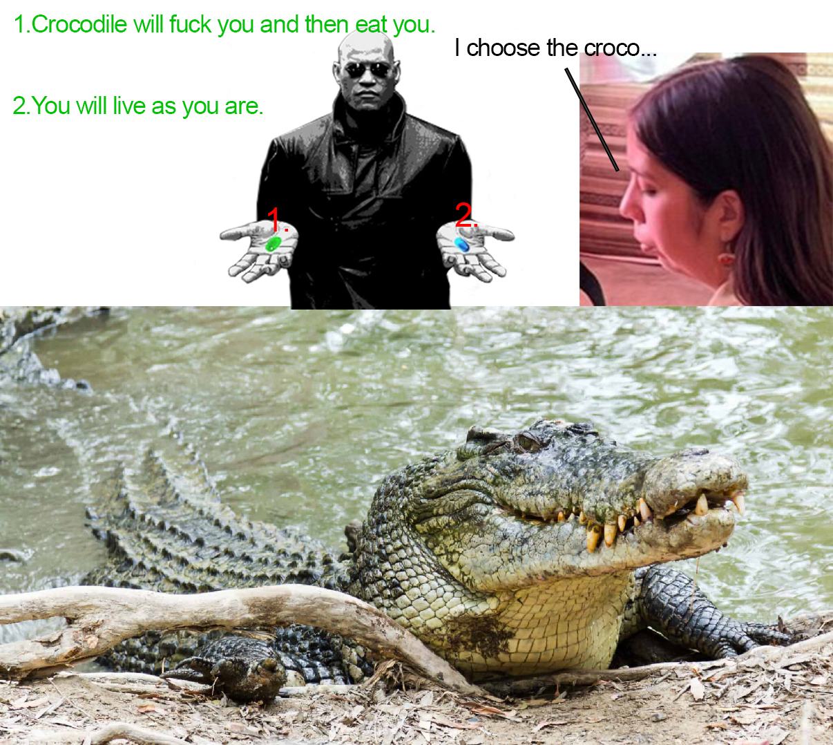 Greenpilled
