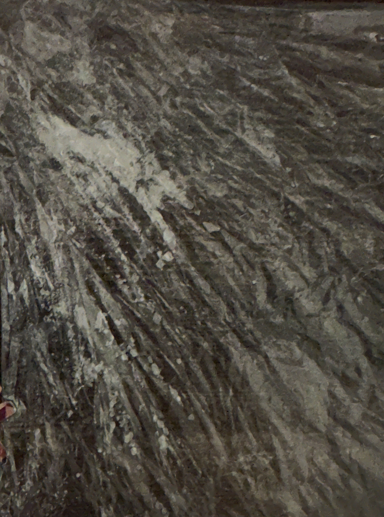 CD0867F8 628F 4BFD 875A B962104EEC20