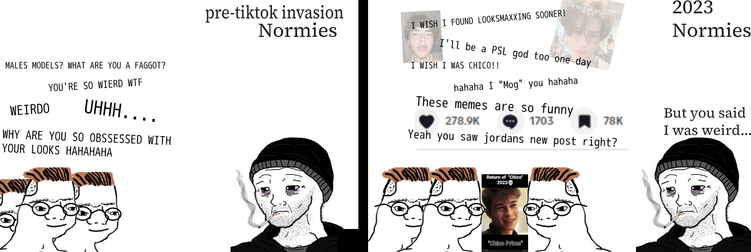 Looksmaxnormiesmakesmeseethe