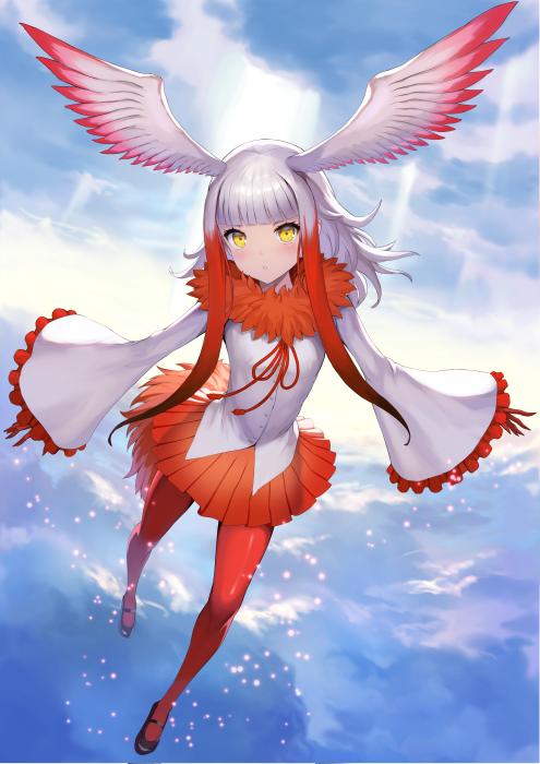 Tokipaukc