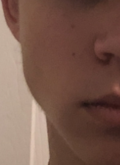 IMG 3080