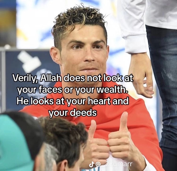 C1BA53CB 229F 4275 AADC 31689CD68403