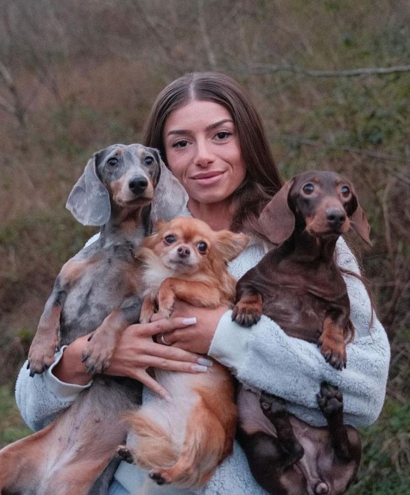 Screenshot 2023 11 15 at 53500 PM