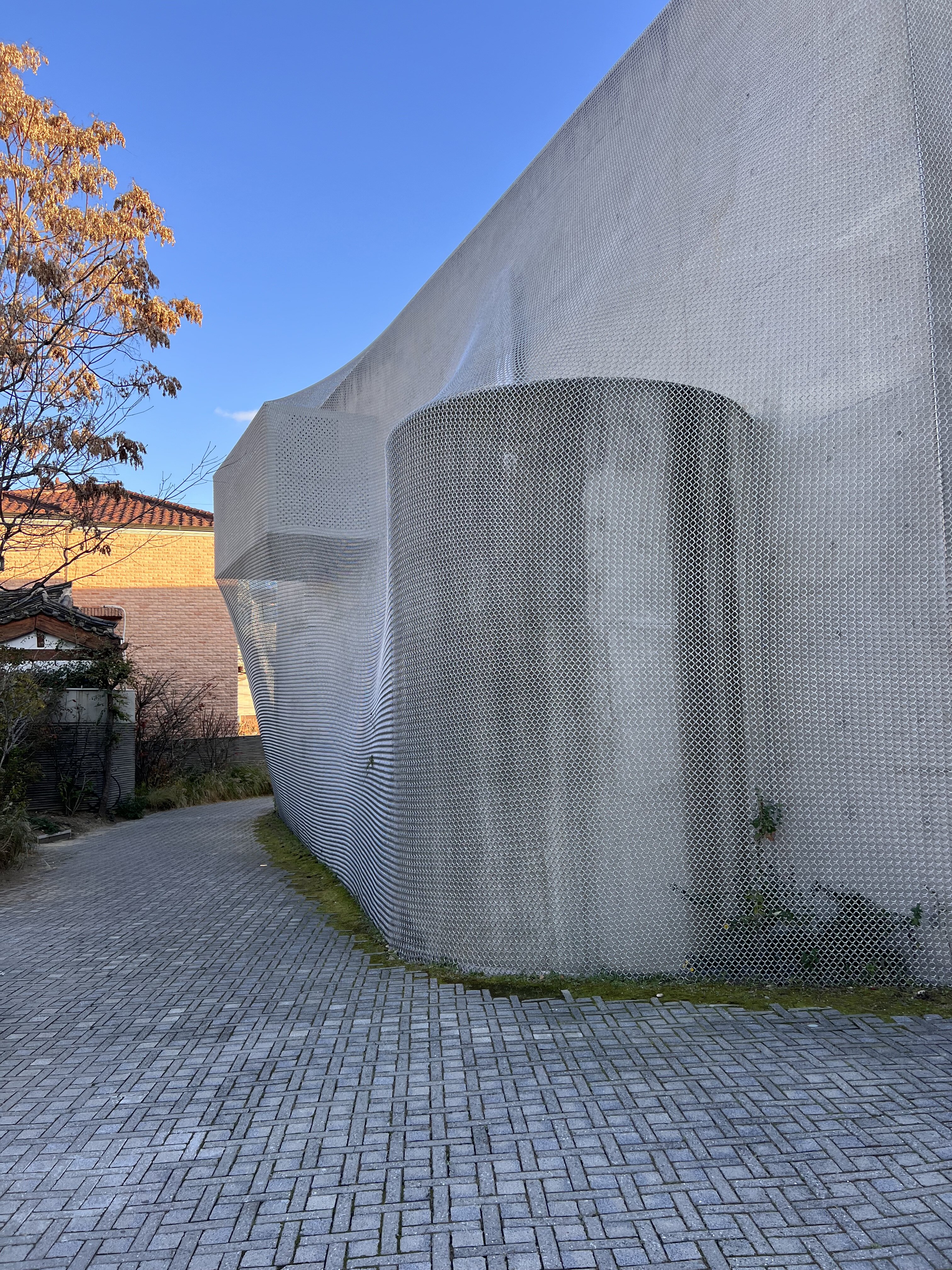 IMG 7448