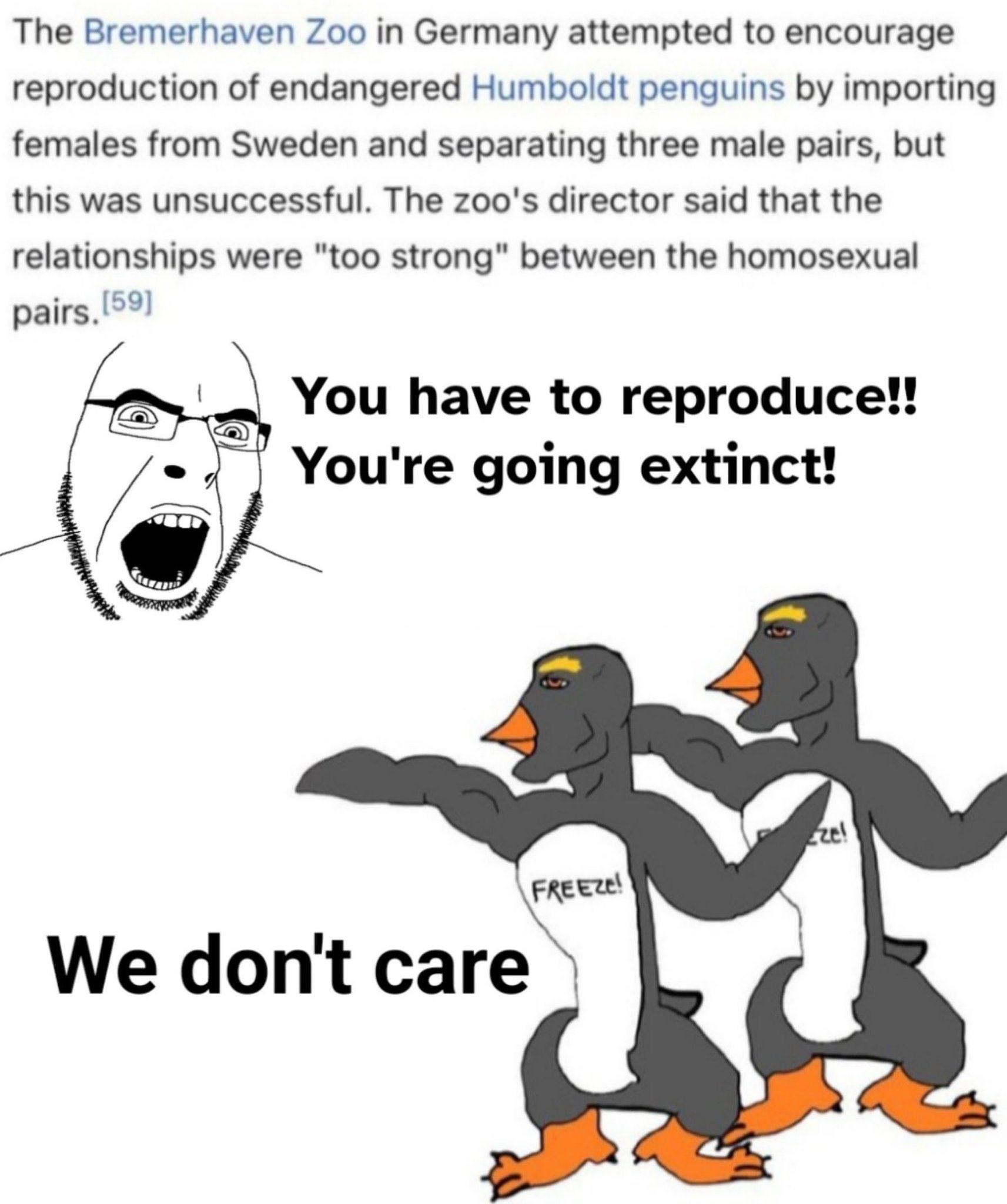 1000056655 1000056655