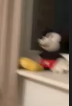 1700509411642