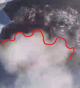 431712b4d212f2a6c076df643a232d1d