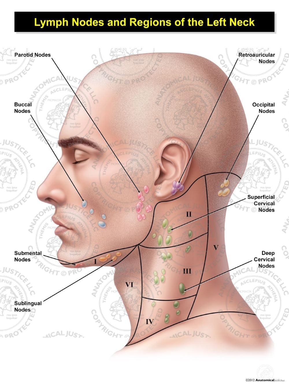 S09043 lymph node region neck l m