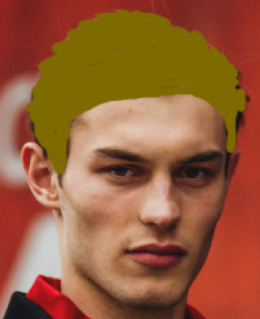 Hair1