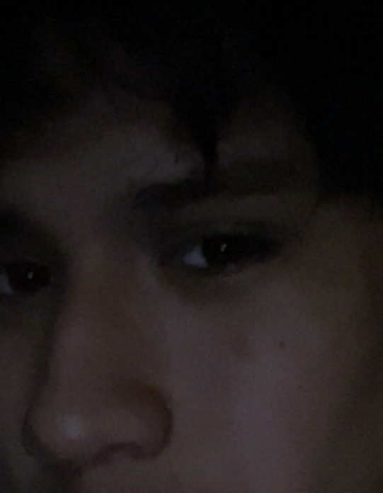 IMG 3355