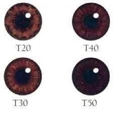 1700607376737