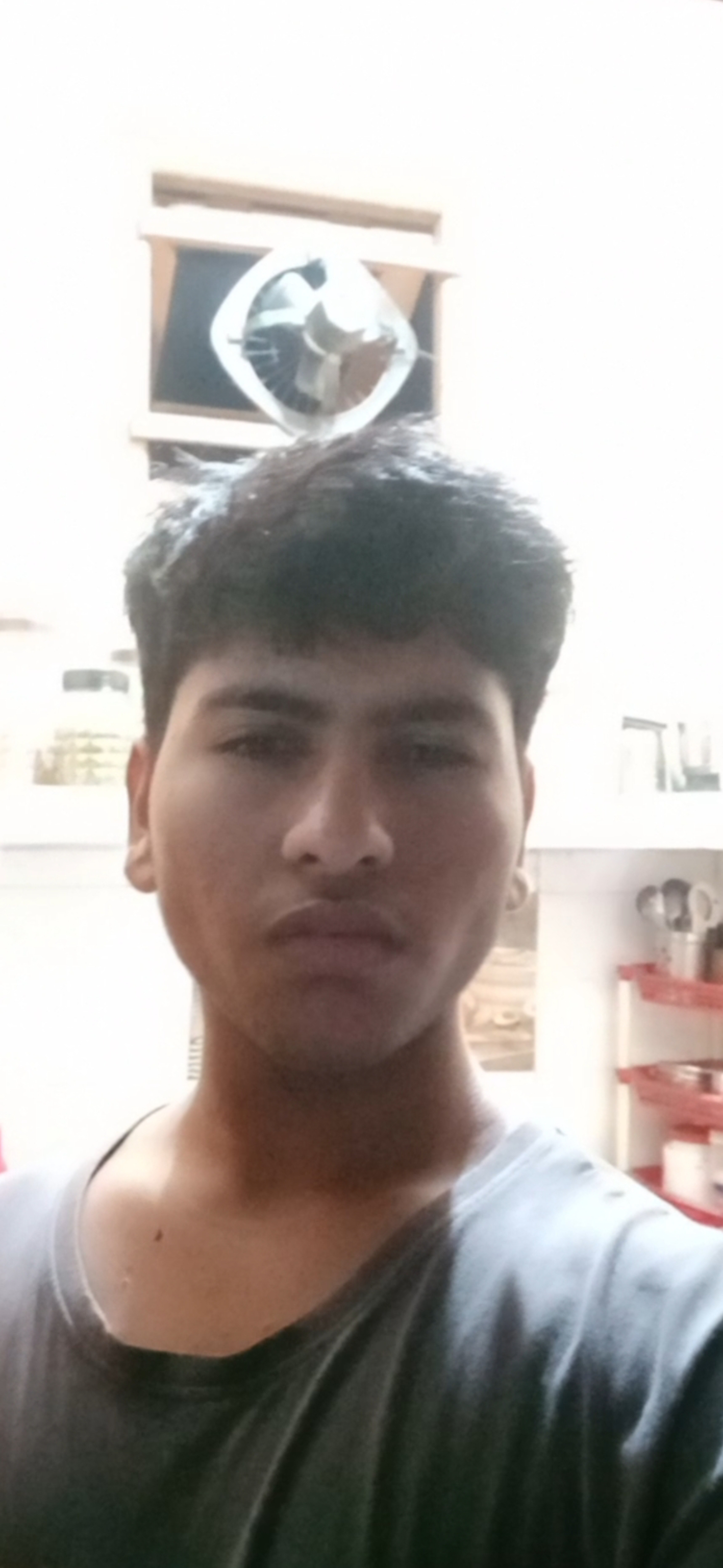 InShot 20231118 202052045