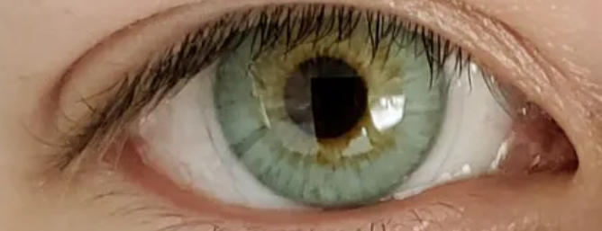 1700682168277