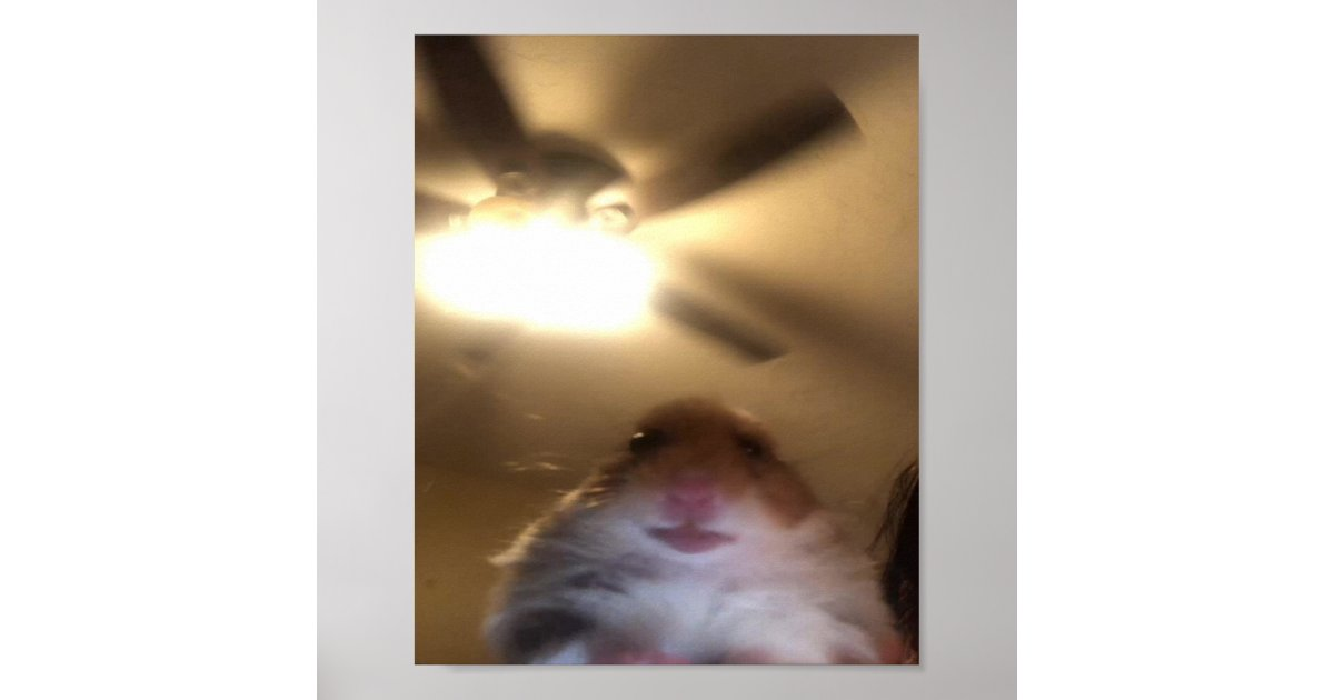 1700682288456