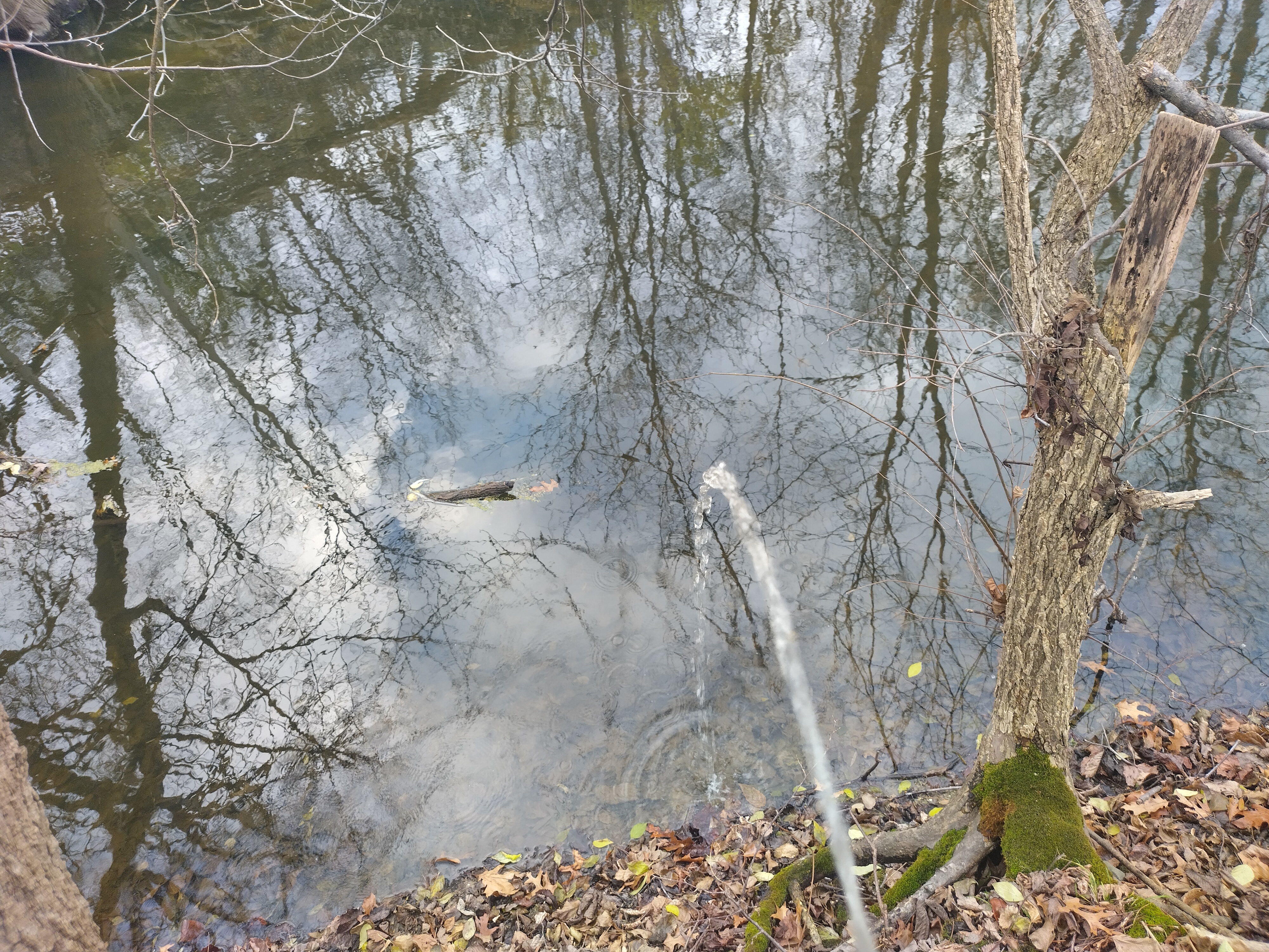 IMG 20231123 151818 HDR