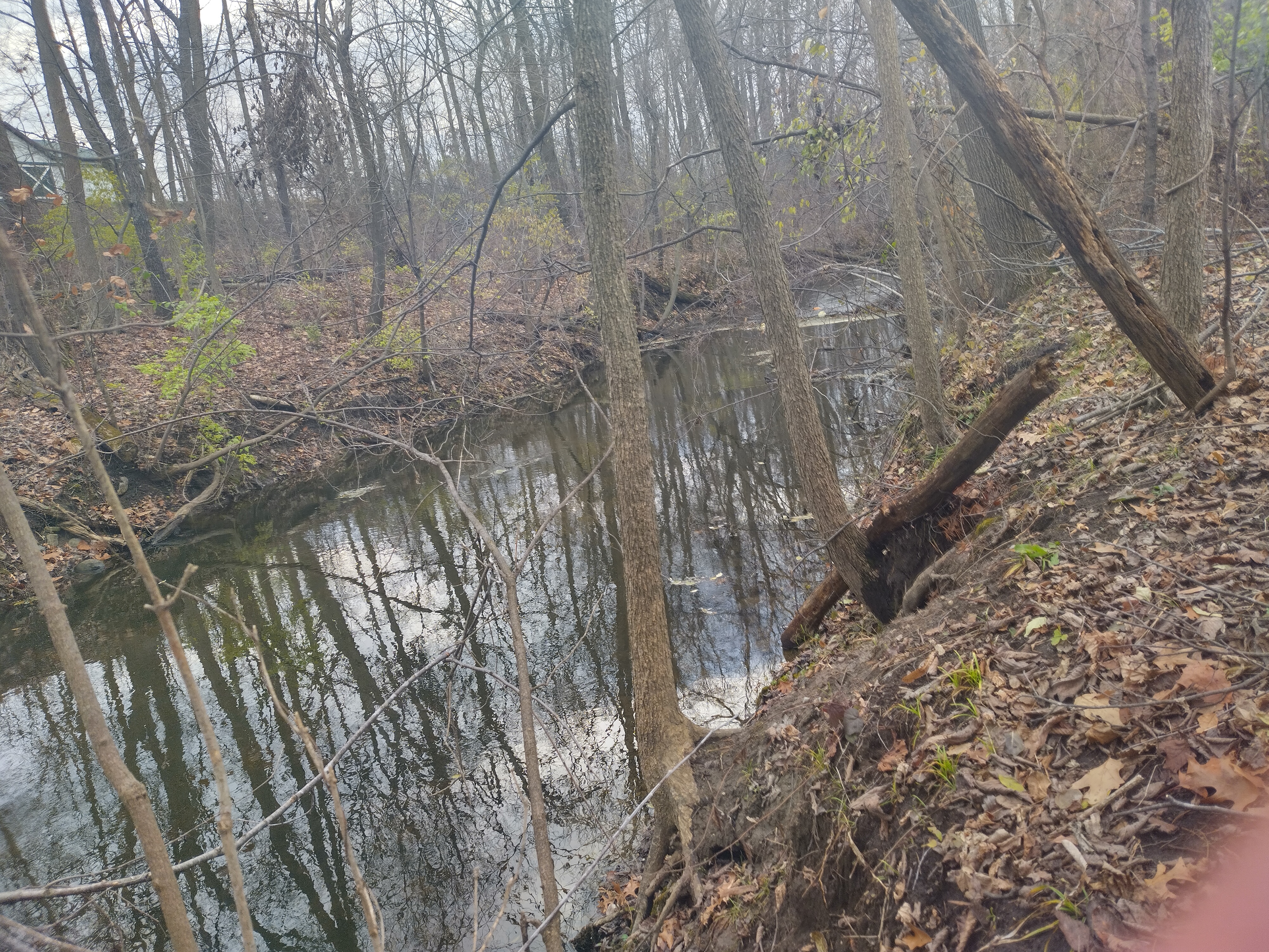 IMG 20231123 152004 HDR