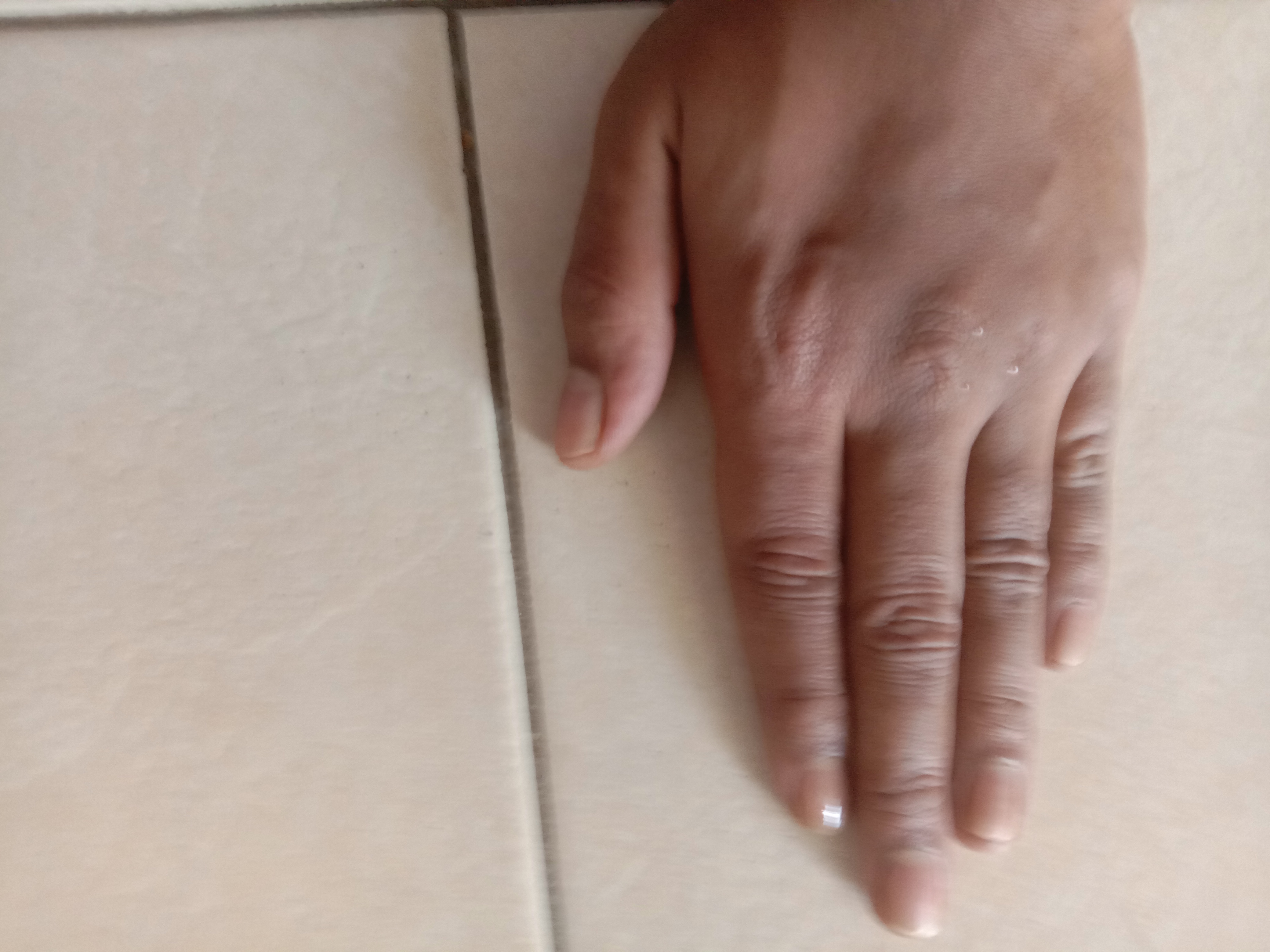 IMG 20231124 152400