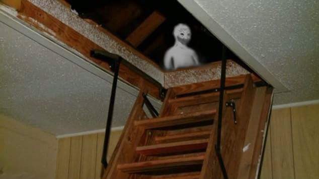 E912ruXUUAM3L3E