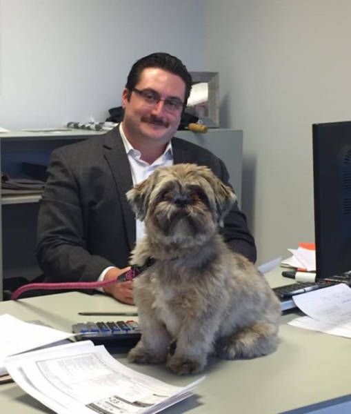 Creepy moustache guy brings dog to work 1473652585