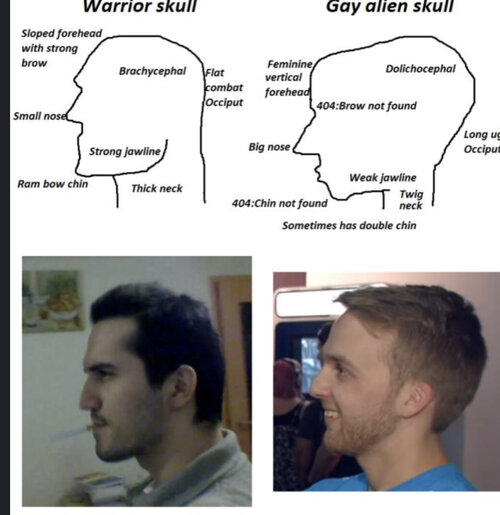 3785582 89E70D3E BF40 4579 ADC8 A8914A2517FA