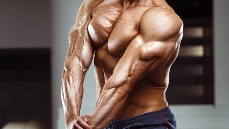 Best Medial Head Triceps Exercises 750x422