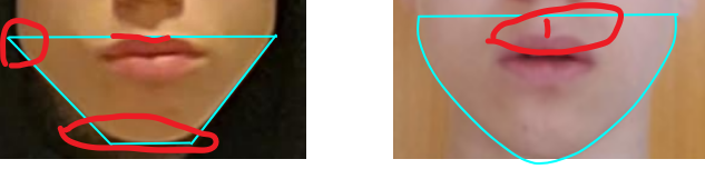 3787340 1701091882077