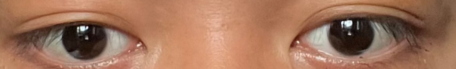 1701253930441 1701253930441