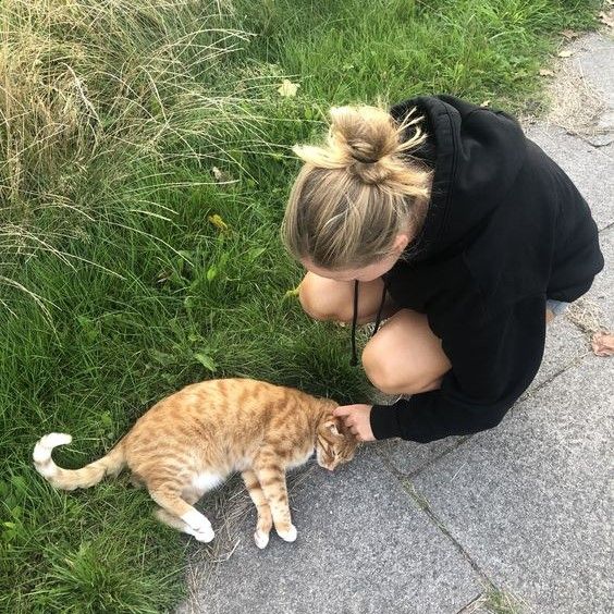 4211dd4d978c72ec3bbdcb3f60cec239