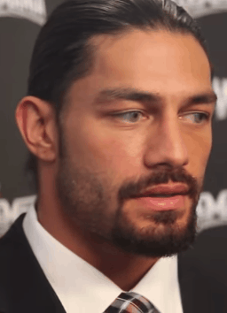 Roman Reigns roman reigns 38408176 256 354