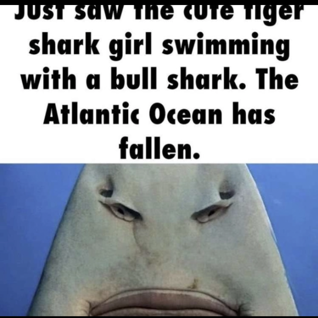 1000058175